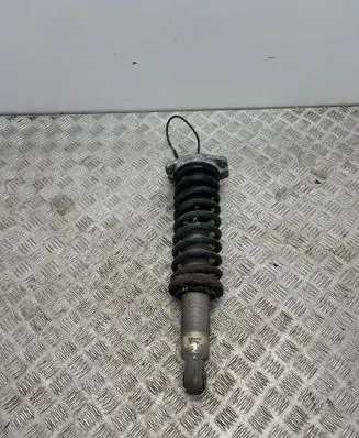 Maserati Quattroporte Rear shock absorber/damper 462400126513