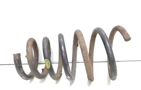 Rear coil spring