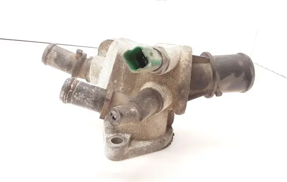 Thermostat/thermostat housing