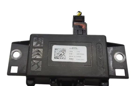 Peugeot 307 Light module LCM 9828517980