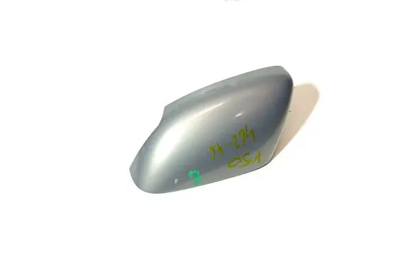 Plastic wing mirror trim cover