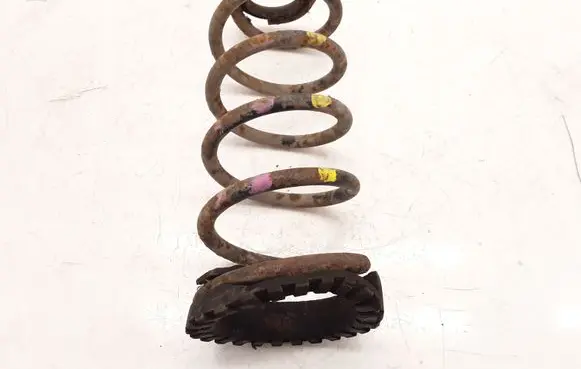Rear coil spring