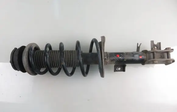 Fiat Sedici Front shock absorber with coil spring 4160179UF