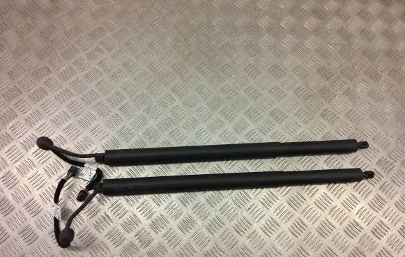 Alfa Romeo Stelvio Tailgate/trunk strut/damper 505603960
