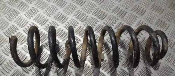 Renault Scenic II - Grand scenic II Rear coil spring