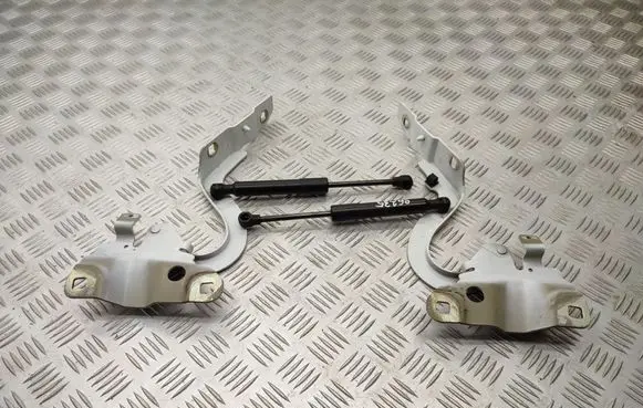 Renault Zoe Engine bonnet/hood hinges 654018609R 654009955R