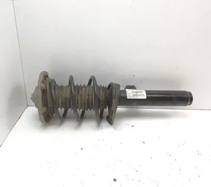 Front shock absorber with coil spring