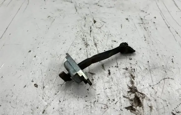 Toyota RAV 4 (XA30) Rear door check strap stopper 