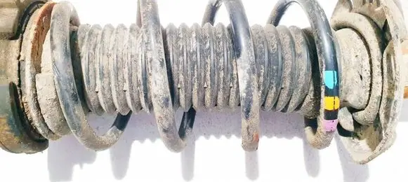 Front coil spring