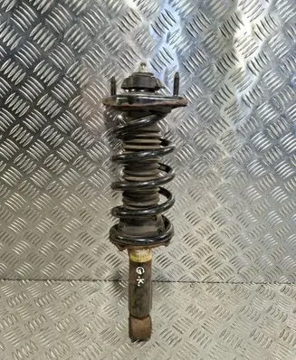 Rear shock absorber/damper