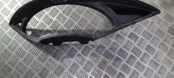 Dashboard trim