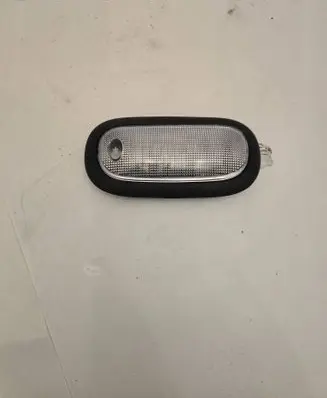 Dodge PickUp RAM SRT-10 Rear seat light 1BC77TRMAA