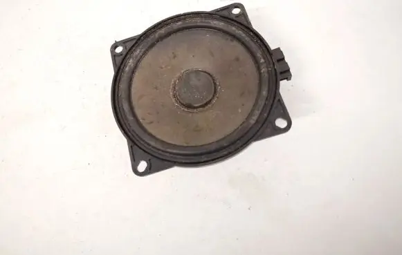 Front door speaker