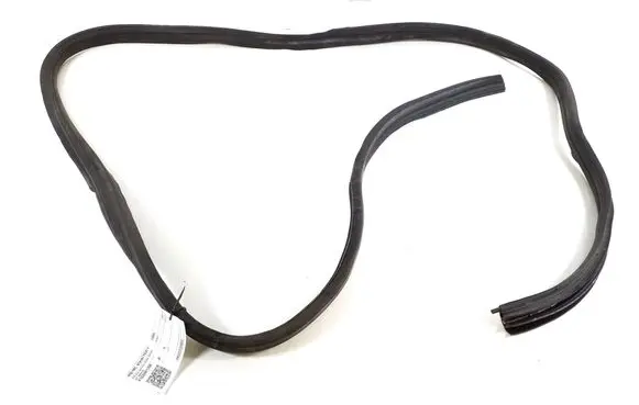 Rear door rubber seal (on body)