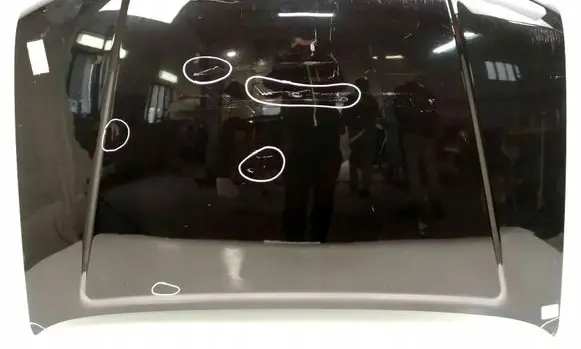 Nissan Pathfinder R51 Engine bonnet/hood 6084000