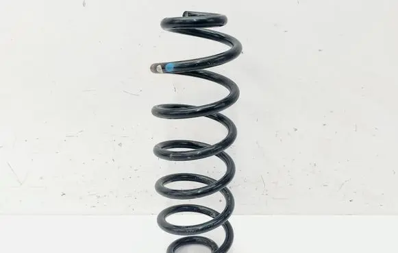 Rear coil spring