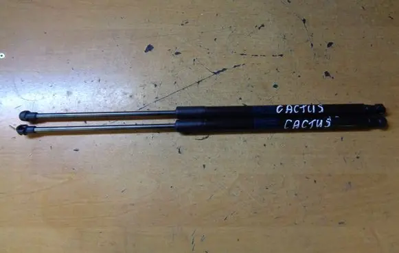 Citroen C4 Cactus Tailgate/trunk strut/damper 9813913880