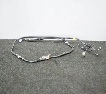 Tesla Model 3 Other wiring loom 106878700D