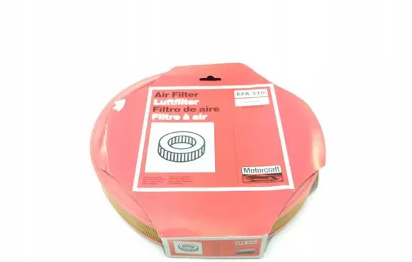 Ford Escort Air filter 6145868
