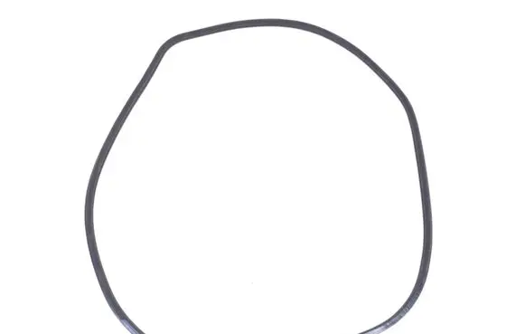 Infiniti FX Front door rubber seal 769221CA0A