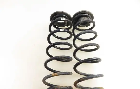 Rear coil spring