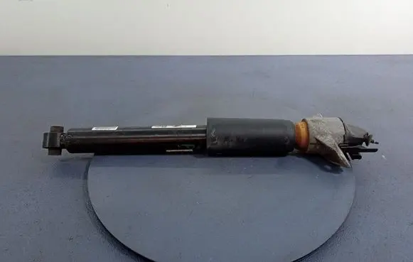 Audi Q7 4M Rear shock absorber/damper 4M0513021BL