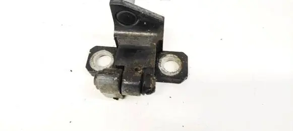 Volkswagen Phaeton Tailgate/trunk/boot hinge