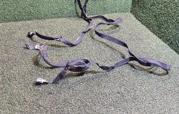 Nissan NV400 Other wiring loom 241640020R