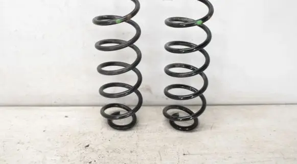 Rear coil spring