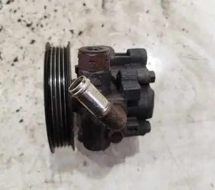 Electric power steering pump