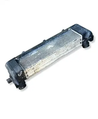 BMW 7 G11 G12 Intercooler radiator 8576509