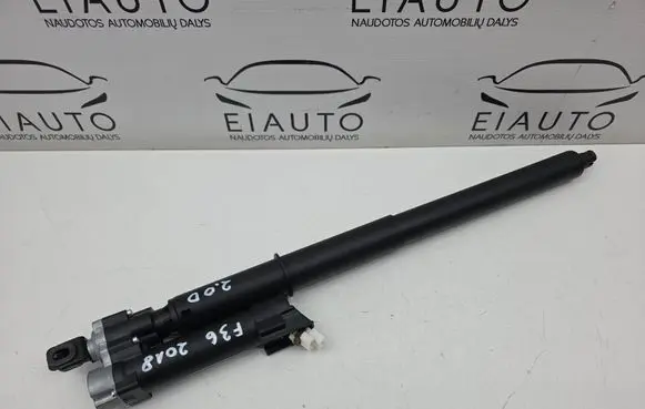 Tailgate/trunk strut/damper