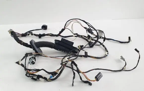 BMW X3 F25 Front door wiring loom 9243639 9169242 9243638