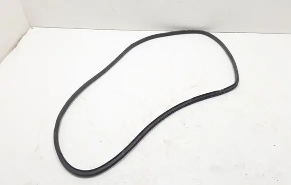 Dodge Durango Rear door rubber seal (on body) 55399174AE
