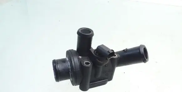 Thermostat/thermostat housing