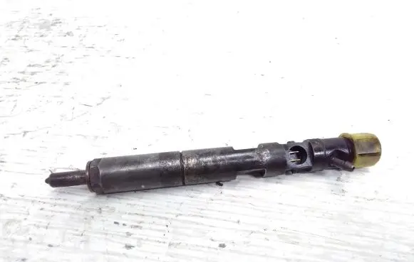 Renault Scenic II - Grand scenic II Fuel injector