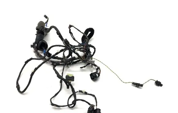 BMW 5 G30 G31 Front door wiring loom 4979626 11107810