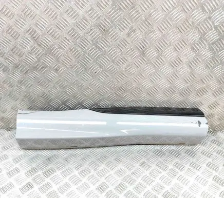 Ford Puma Rear door trim (molding) L1TBS24902D L1TBS24902C
