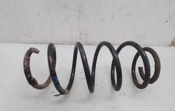 Volkswagen Fox Front coil spring