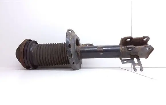 Opel Zafira B Front shock absorber/damper 24466550
