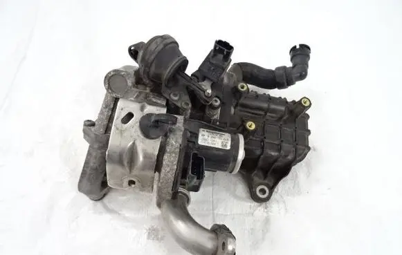 EGR valve