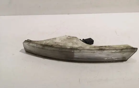 Volkswagen PASSAT B6 Front indicator light