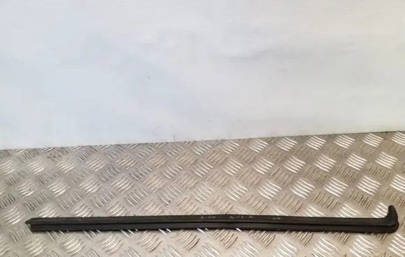 Rear door glass trim molding