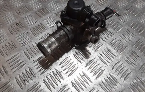 Thermostat/thermostat housing