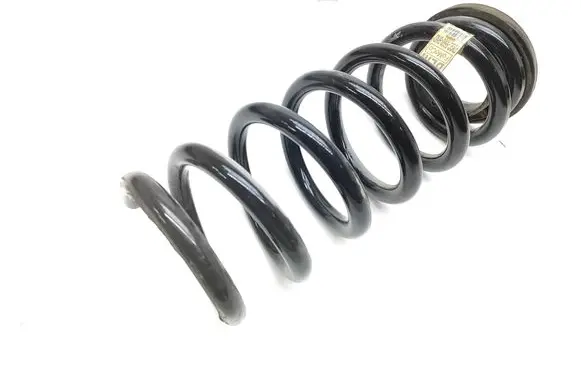 Rear coil spring