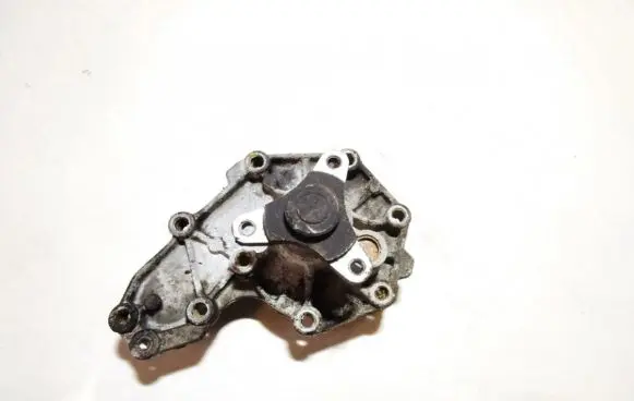 Renault Kangoo I Water pump