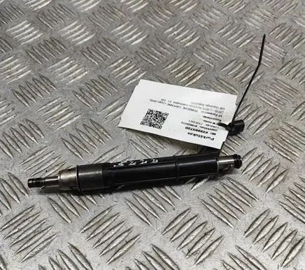 Porsche Cayenne (9Y0 9Y3) Fuel injector 06M906036AE