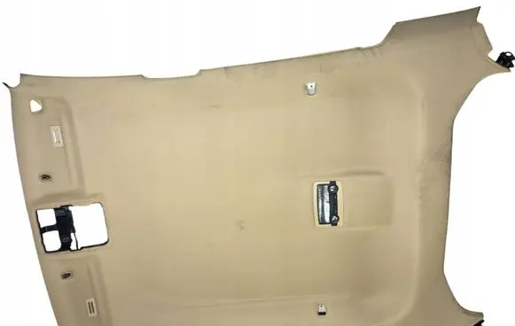BMW X6 E71 Headlining 205849PB