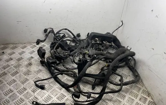Engine installation wiring loom