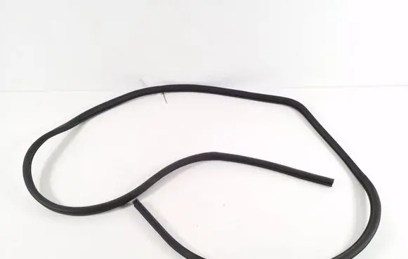 Nissan Leaf II (ZE1) Front door rubber seal 769213NA1B